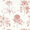 Etchings & Roses-behang-Sanderson-Amanpuri Red-Rol-217054-Selected Wallpapers