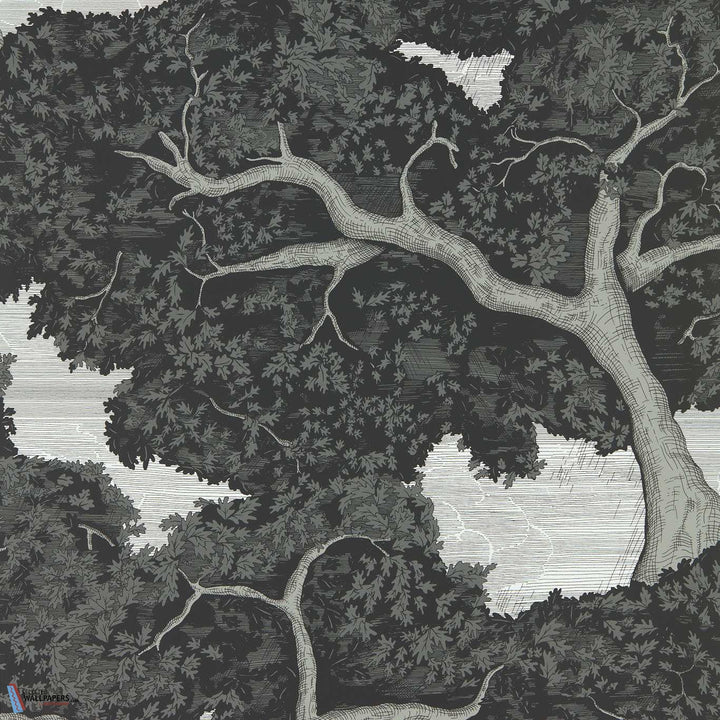 Eternal Oak-behang-Tapete-Harlequin-Ebony/First Light-Rol-113040-Selected Wallpapers