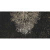 Expansion Theory-behang-Muance-Selected Wallpapers