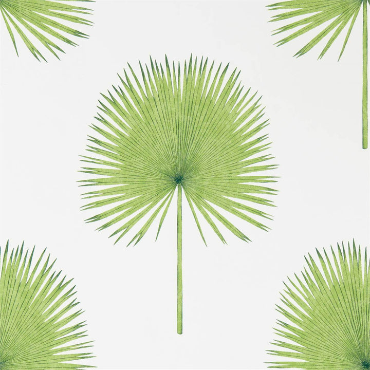 Fan Palm-behang-Tapete-Sanderson-Green-Rol-216636-Selected Wallpapers