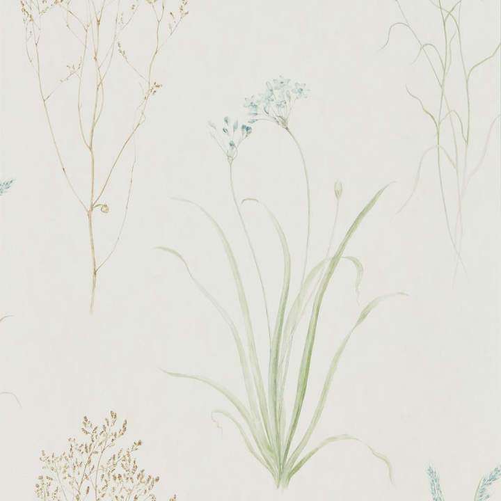 Farne Grasses-behang-Tapete-Sanderson-Cream/Sage-Rol-216486-Selected Wallpapers