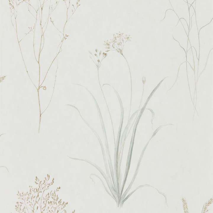 Farne Grasses-behang-Tapete-Sanderson-Silver/Ivory-Rol-216487-Selected Wallpapers