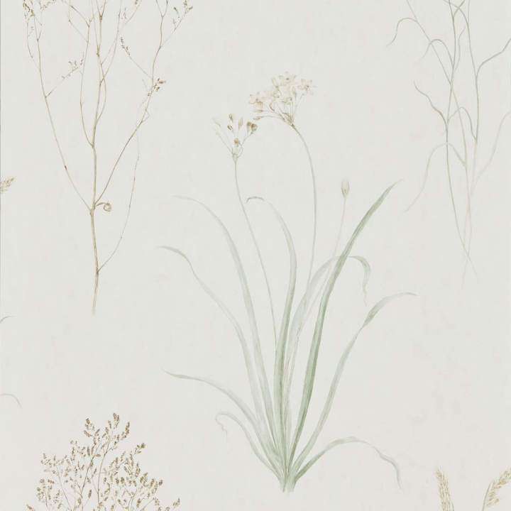 Farne Grasses-behang-Tapete-Sanderson-Willow/Pebble-Rol-216488-Selected Wallpapers