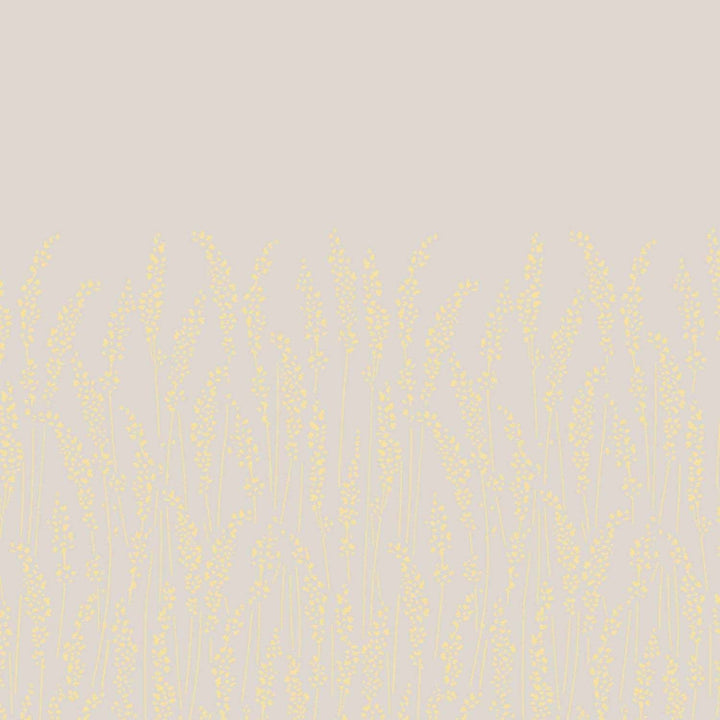 Feather Grass-Behang-Tapete-Farrow & Ball-Ammonite-Rol-BP5104-Selected Wallpapers