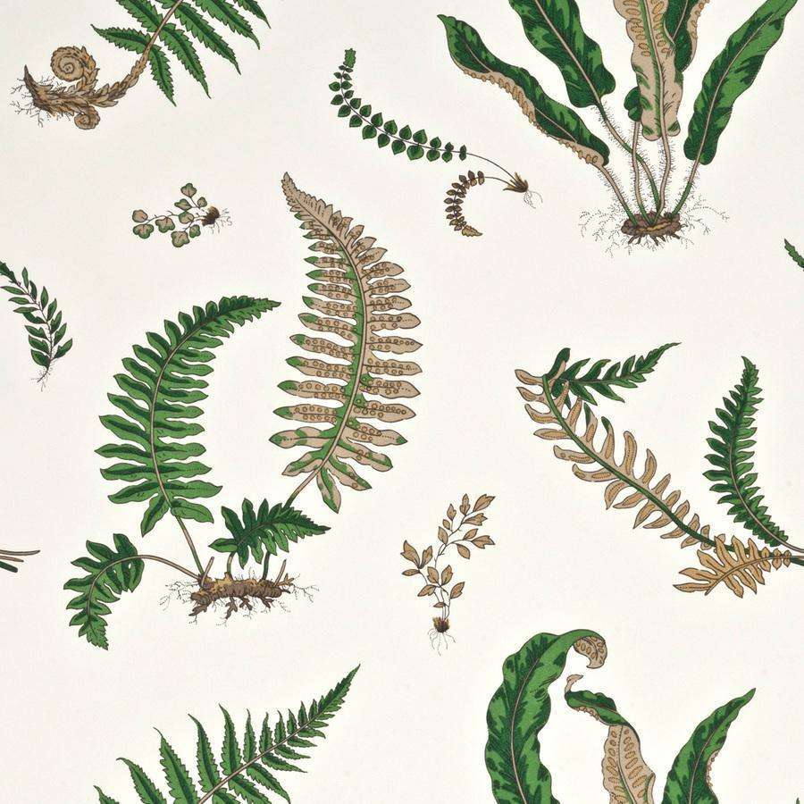 Ferns-behang-Tapete-GP&J Baker-Original Green-Rol-BW45044.1-Selected Wallpapers