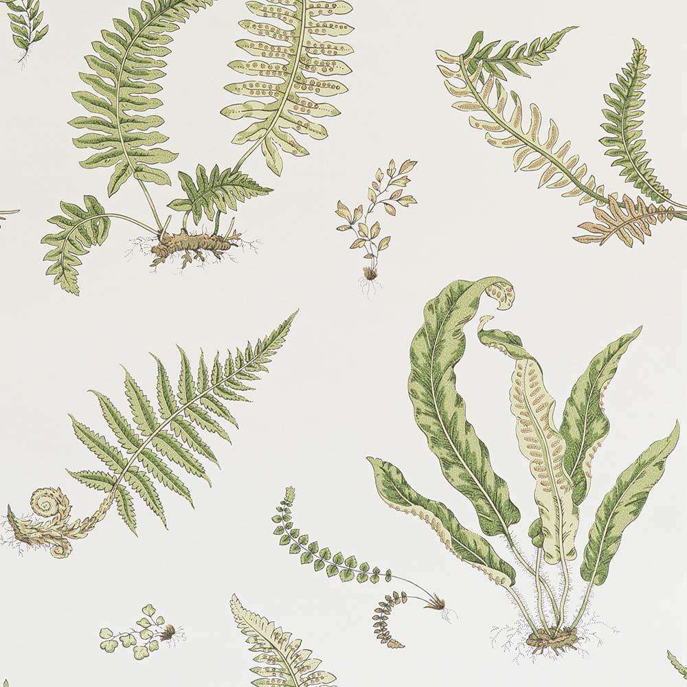 Ferns-behang-Tapete-GP&J Baker-Leaf-Rol-BW45044.10-Selected Wallpapers