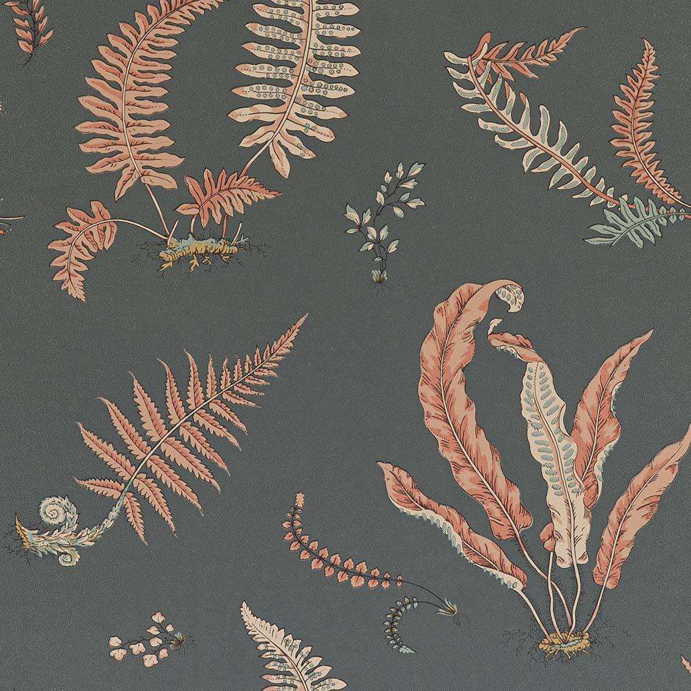Ferns-behang-Tapete-GP&J Baker-Coral/Charcoal-Rol-BW45044.13-Selected Wallpapers