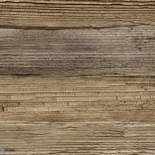 Feuilles de Bananier-Tapete-CMO Paris-Naturel-Meter (M1)-CMO WBA 01 10-Selected Wallpapers
