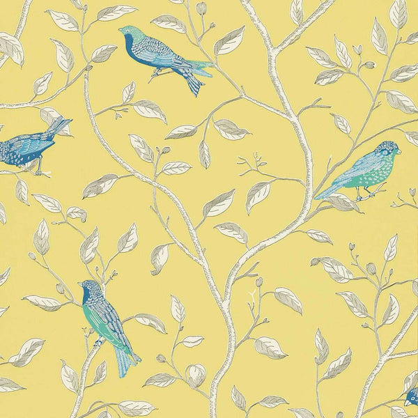 Finches-wallpaper-Sanderson-Yellow-Roll-DOPWFI101-Selected Wallpapers