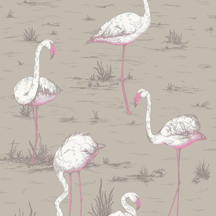 Flamingos-behang-Tapete-Cole & Son-Taupe-Rol-66/6042-Selected Wallpapers