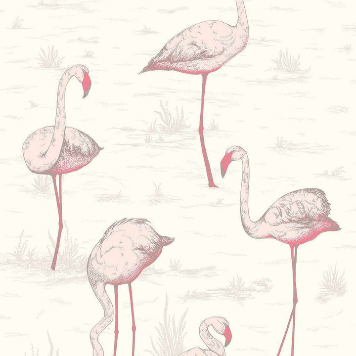Flamingos-behang-Tapete-Cole & Son-White-Rol-95/8045-Selected Wallpapers