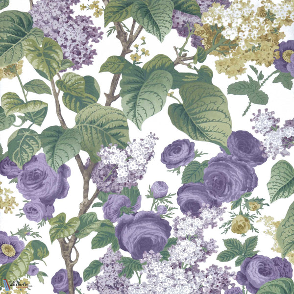 Floribunda-Wallpaper-1838 wallcoverings-Lavender-Roll-2311-168-01-Selected Wallpapers