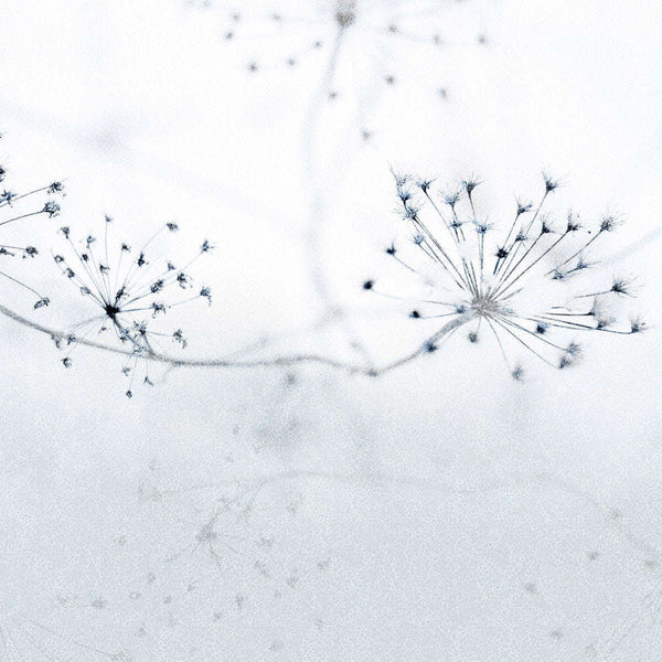 Floss-Behang-INSTABILELAB-01-Vinyl New Middle-Floss01-Selected Wallpapers