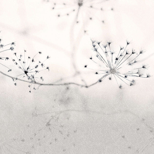 Floss-Behang-INSTABILELAB-02-Vinyl New Middle-Floss02-Selected Wallpapers