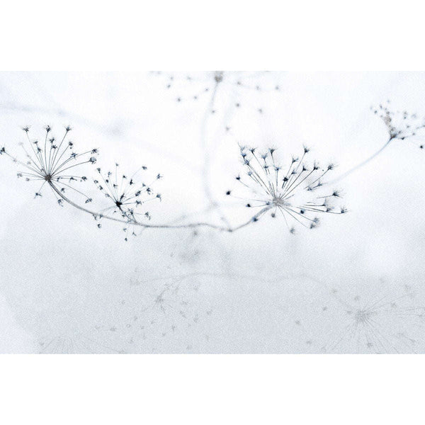 Floss-Behang-INSTABILELAB-Selected Wallpapers