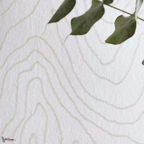 Formation-behang-Harlequin-Selected Wallpapers