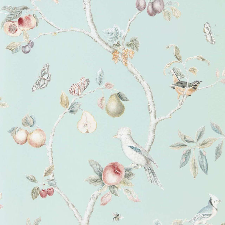 Fruit Aviary-behang-Tapete-Sanderson-Duck Egg-Rol-216312-Selected Wallpapers