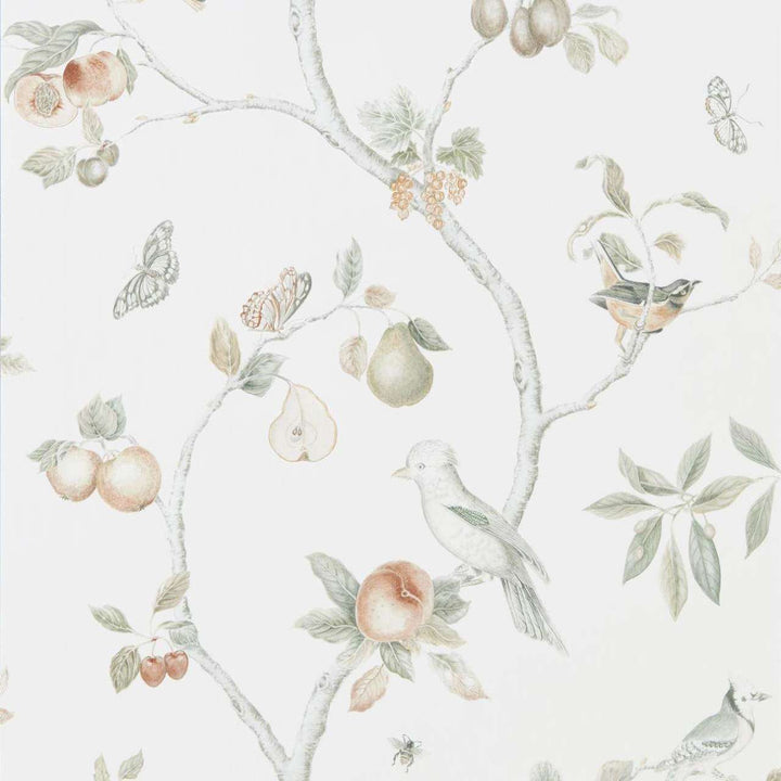 Fruit Aviary-behang-Tapete-Sanderson-Ivory-Rol-216313-Selected Wallpapers