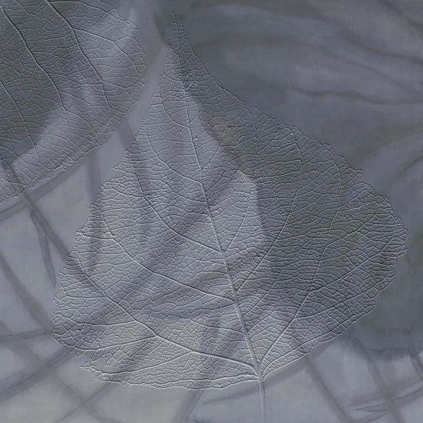 Gaia-Behang-Glamora-2B-GlamDecor-GLXII272B-Selected Wallpapers