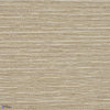 Gary-Behang-Pierre Frey-Sable-Meter (M1)-FP926001-Selected Wallpapers