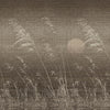 Gli Alisei-Behang-Wall & Deco-01-CWC-WDIS2101-Selected Wallpapers