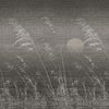 Gli Alisei-Behang-Wall & Deco-02-CWC-WDIS2102-Selected Wallpapers