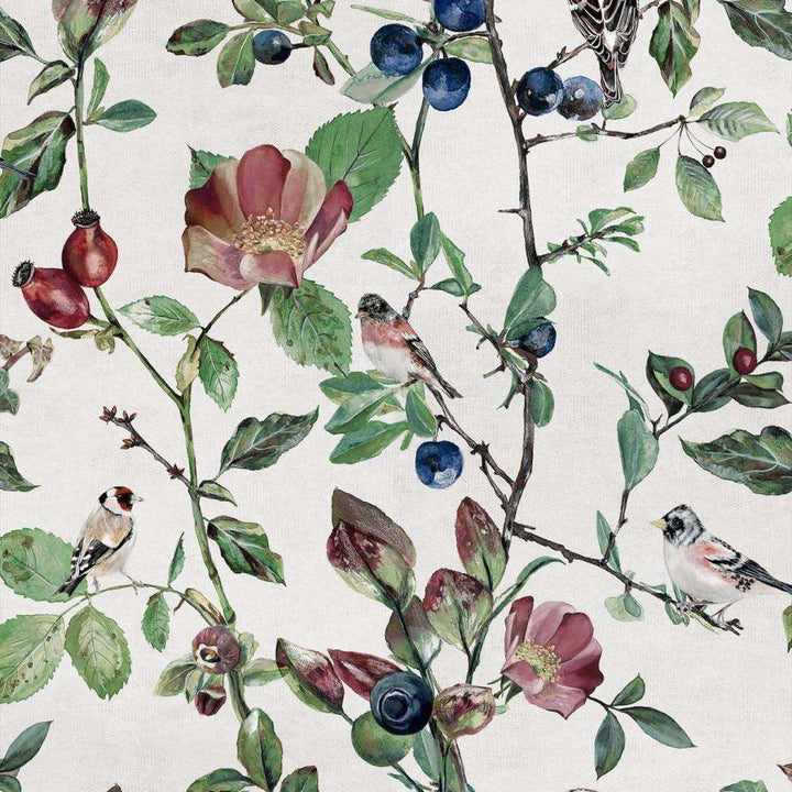 Goldfinch Song-Behang-Tapete-Coordonne-Cotton-Rol-9500030-Selected Wallpapers