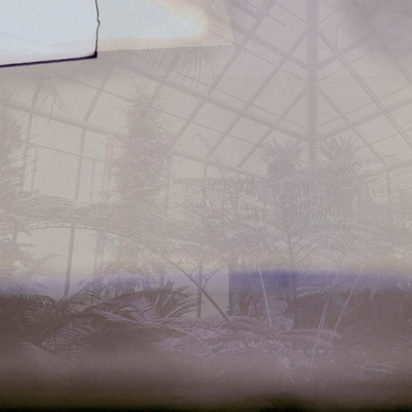 Greenhouse-Behang-Glamora-2A-GlamDecor-GLXII292A-Selected Wallpapers