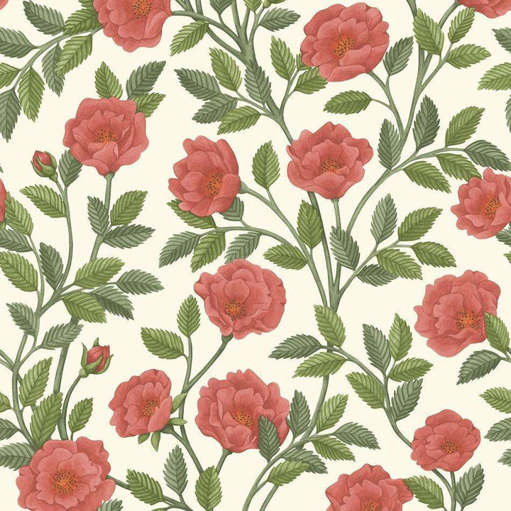 Hampton Roses-behang-Tapete-Cole & Son-Rouge & Spring Green-Rol-118/7013-Selected Wallpapers