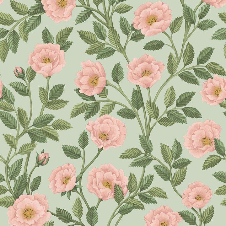 Hampton Roses-behang-Tapete-Cole & Son-Rose & Leaf Green-Rol-118/7014-Selected Wallpapers
