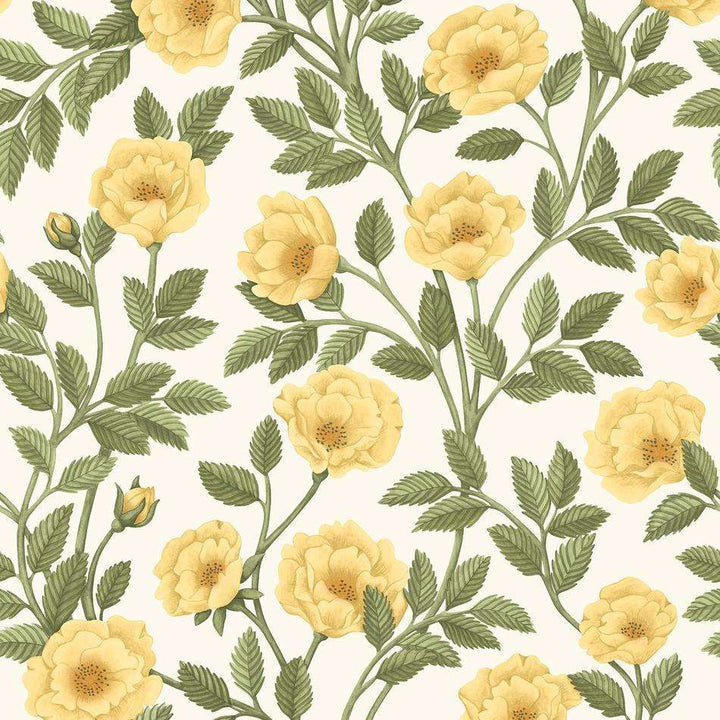 Hampton Roses-behang-Tapete-Cole & Son-Marigold & Olive Green-Rol-118/7015-Selected Wallpapers