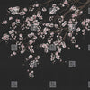 Haori-Behang-LondonArt-C-RAW-S120M-Haori KMN05 C-Selected Wallpapers