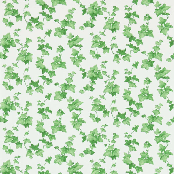 Hedera-behang-Sanderson-Selected Wallpapers