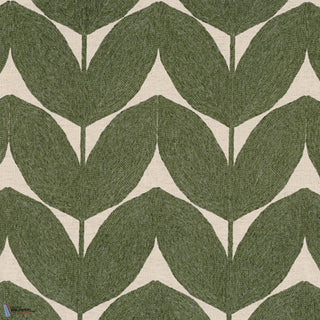 Herbes Folles Olive