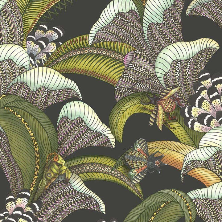 Hoopoe Leaves-Behang-Tapete-Cole & Son-Black-Rol-119/1002-Selected Wallpapers