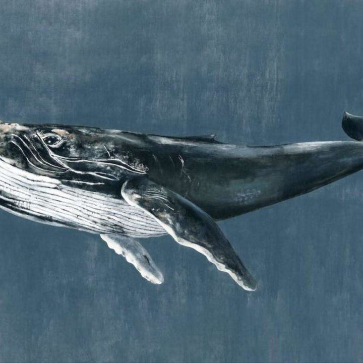Humpback Whale-Behang-Tapete-Coordonne-Vintage-Non Woven-9500101-Selected Wallpapers