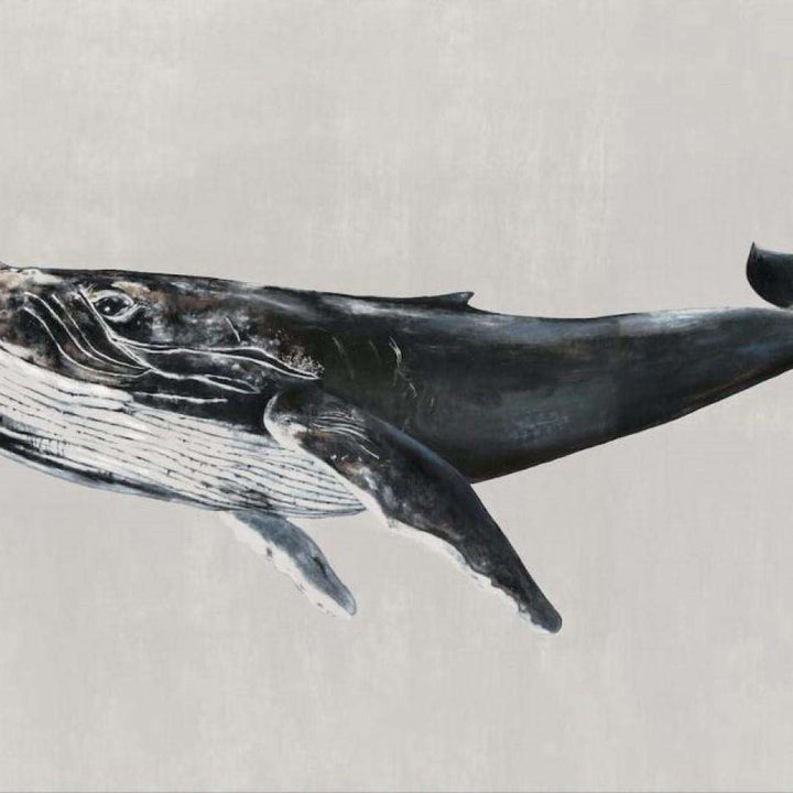 Humpback Whale-Behang-Tapete-Coordonne-Grey-Non Woven-9500103-Selected Wallpapers