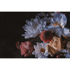 Immense-Behang-INSTABILELAB-Selected Wallpapers
