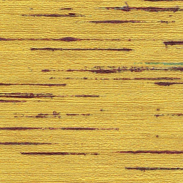 Indiana-behang-Elitis-4-Rol-VP 851 04-Selected Wallpapers