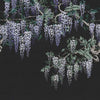 Iromuji-Behang-LondonArt-C-RAW-S120M-IROMUJI KTN07 C-Selected Wallpapers