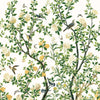 Jardin Bloom Mural-Behang-Thibaut-White-Set-TM13666-Selected Wallpapers