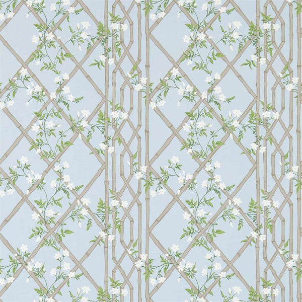 Jasmine Lattice-Tapete-Zoffany-Sky-Rolle-311332-Selected Wallpapers