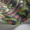 Jasmine & Serin Symphony-behang-Cole & Son-Selected Wallpapers