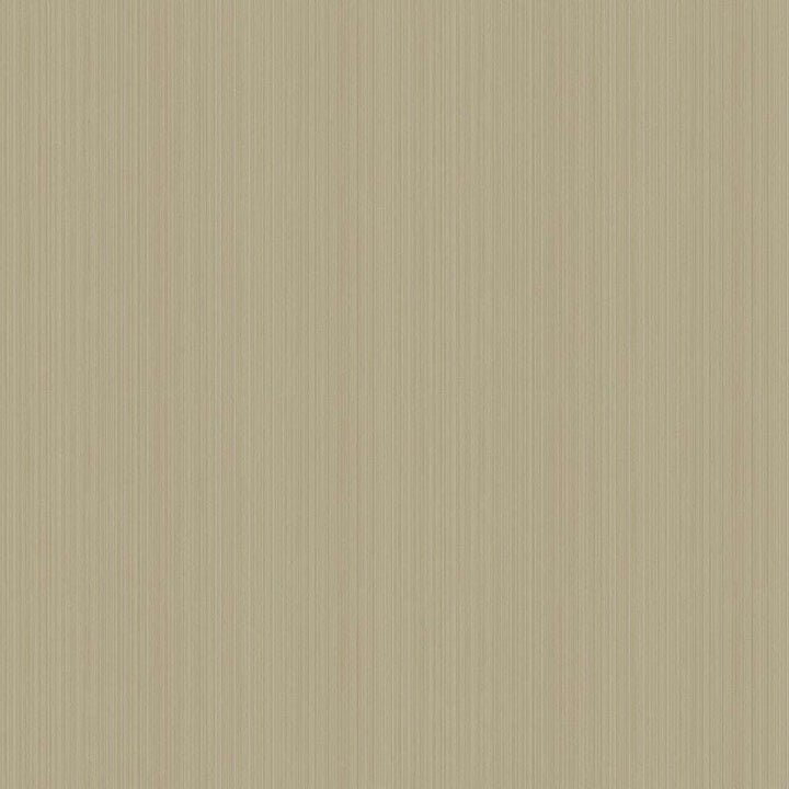 Jaspe-Behang-Tapete-Cole & Son-Metallic Gilver-Rol-106/3045-Selected Wallpapers
