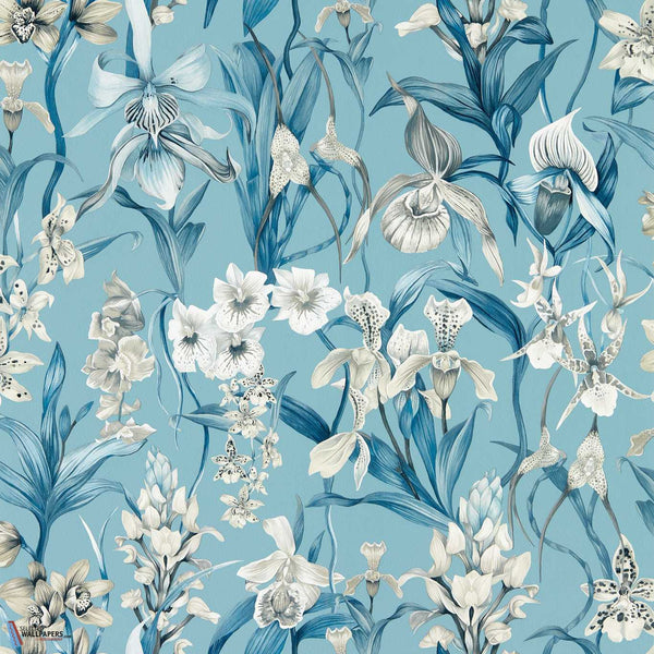 Kalina-behang-Harlequin-Celestial/Murmuration-Rol-113008-Selected Wallpapers