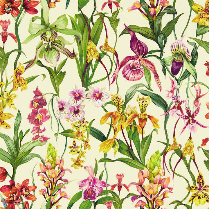 Kalina-behang-Tapete-Harlequin-Parchment/Forest-Rol-113009-Selected Wallpapers