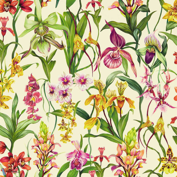 Kalina-behang-Harlequin-Parchment/Forest-Rol-113009-Selected Wallpapers