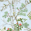 Katsura-Wallpaper-Thibaut-Spa Blue-Roll-T13620-Selected Wallpapers
