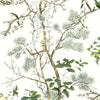 Katsura-Wallpaper-Thibaut-Green and White-Roll-T13621-Selected Wallpapers