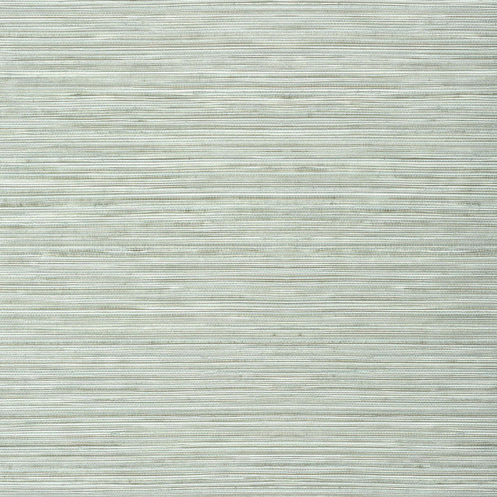 Kendari Grass-Behang-Tapete-Thibaut-Robin's Egg-Rol-T303-Selected Wallpapers